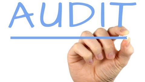 Types of Audit Opinion
